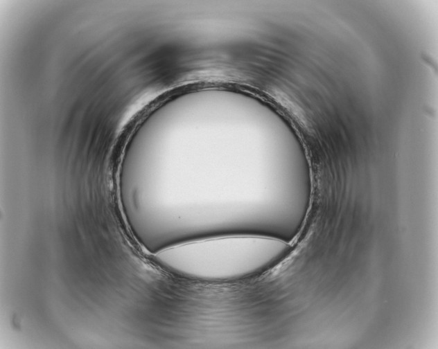 X0000094451070200711081042