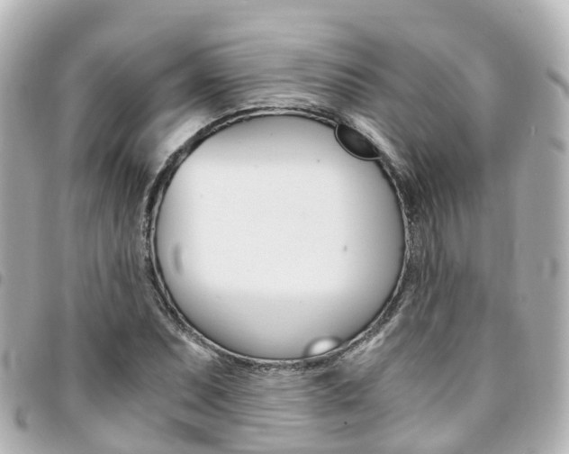 X0000094451071200711081042