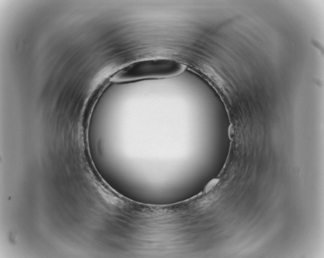 X0000094451072200711081042