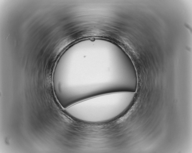 X0000094451073200711081042