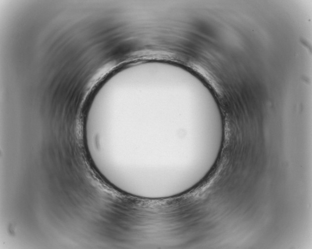 X0000094451074200711081042
