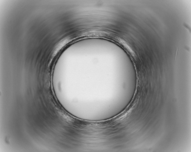X0000094451075200711081042