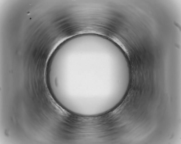 X0000094451076200711081042