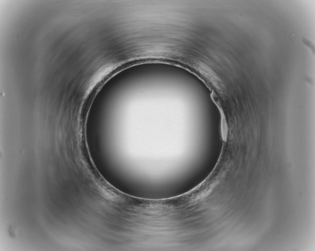 X0000094451077200711081042