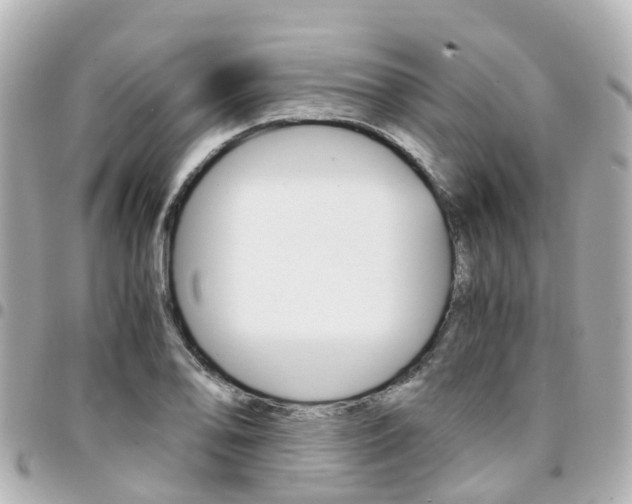 X0000094451078200711081042