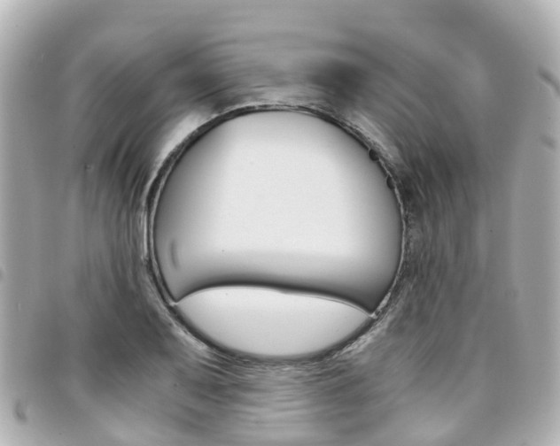 X0000094451079200711081042
