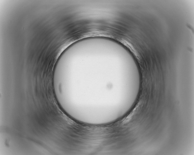 X0000094451081200711081042