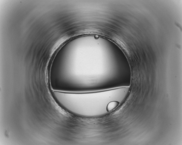 X0000094451082200711081042