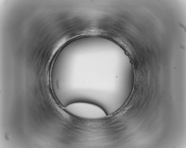 X0000094451083200711081042