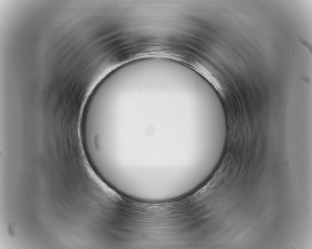 X0000094451084200711081042