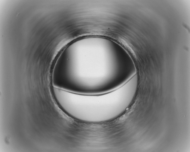 X0000094451085200711081042