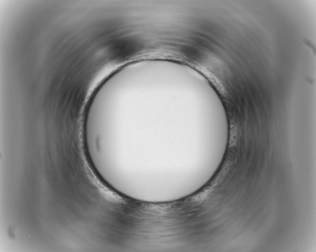 X0000094451086200711081042