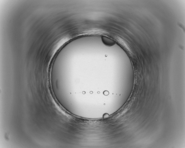 X0000094451087200711081042