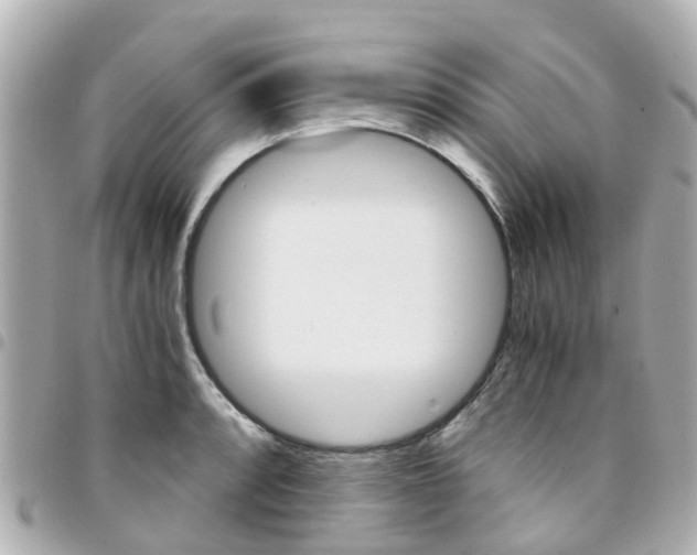 X0000094451088200711081042