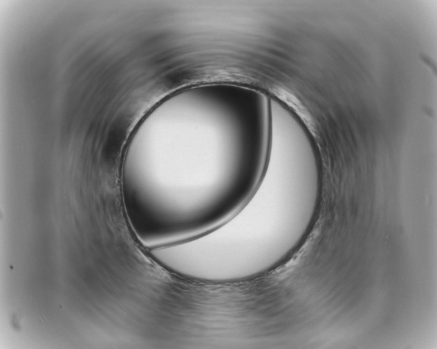 X0000094451089200711081042