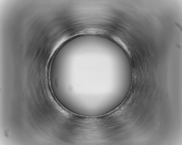 X0000094451091200711081042