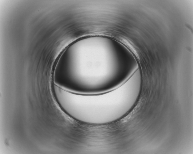 X0000094451093200711081042