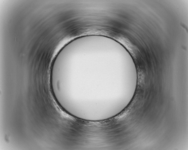 X0000094451094200711081042