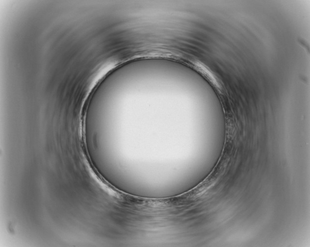 X0000094451095200711081042