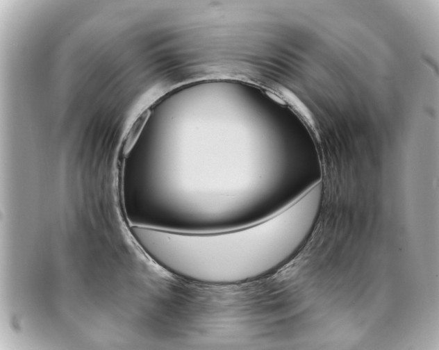 X0000094451096200711081042