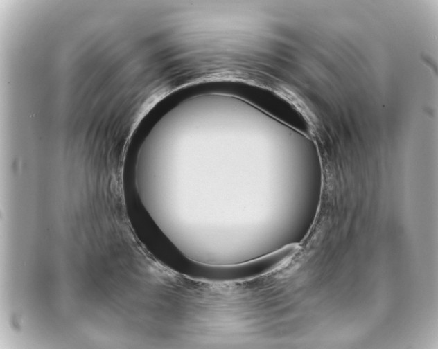 X0000094451097200711081042