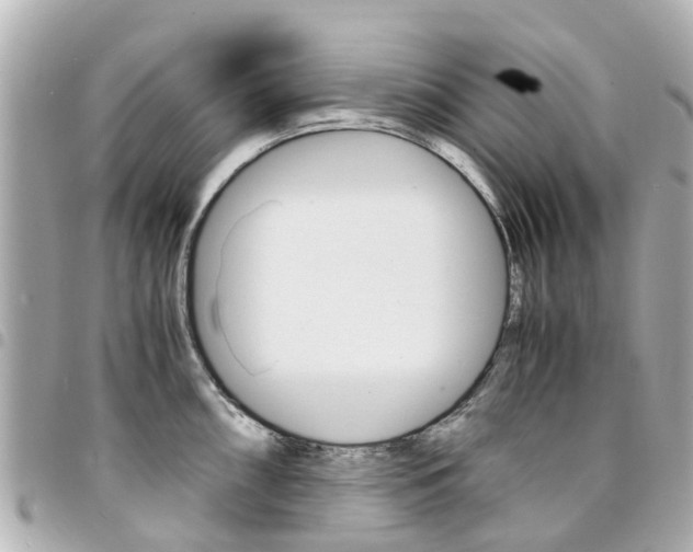 X0000094451098200711081042