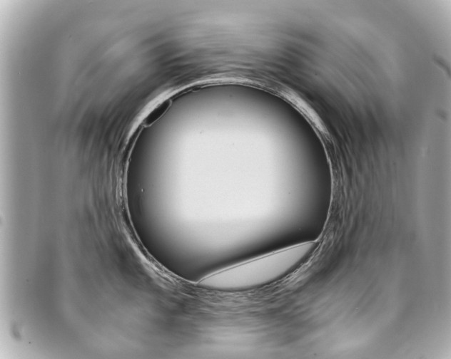 X0000094451101200711081042