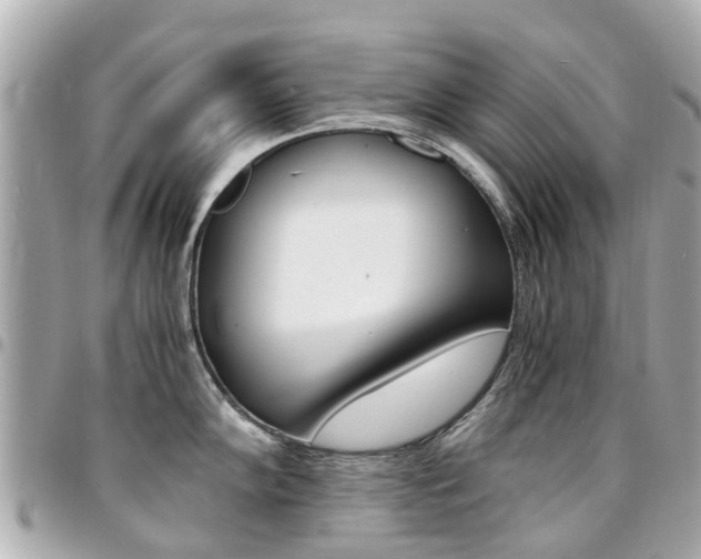 X0000094451102200711081042