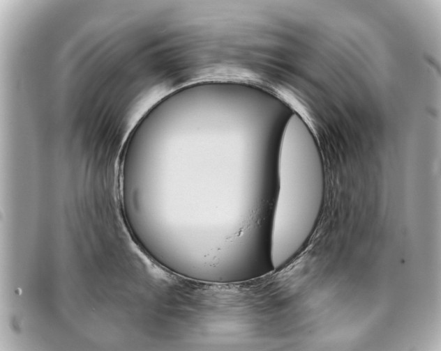 X0000094451103200711081042