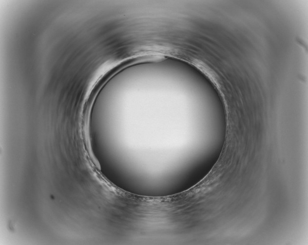 X0000094451104200711081042