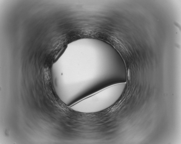 X0000094451107200711081041