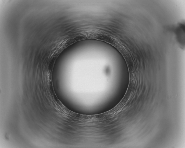 X0000094451108200711081041