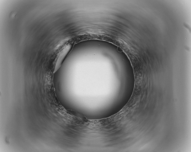 X0000094451110200711081041
