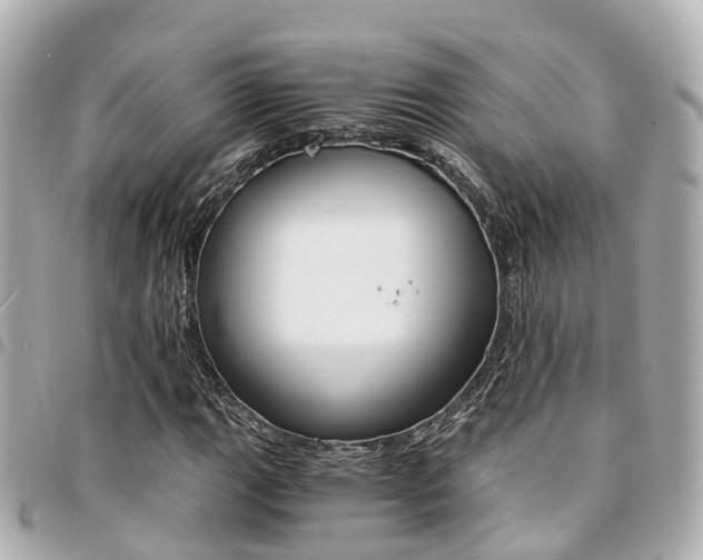 X0000094451111200711081041