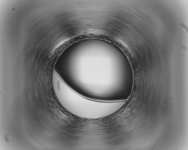 X0000094451112200711081041
