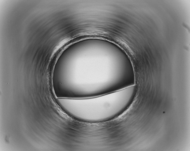 X0000094451114200711081041