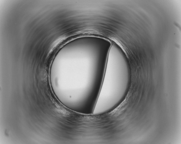 X0000094451115200711081041