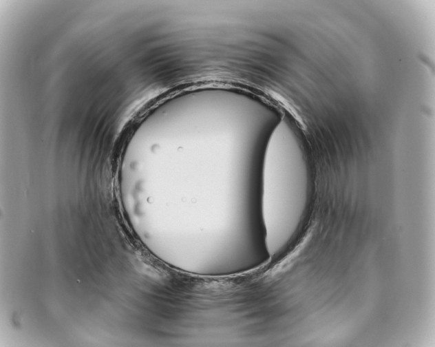 X0000094451117200711081041