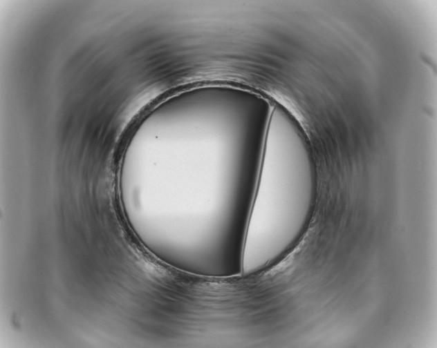 X0000094451119200711081041