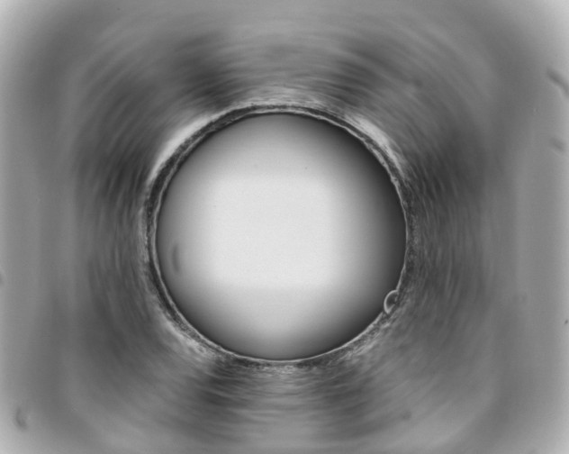 X0000094451120200711081041