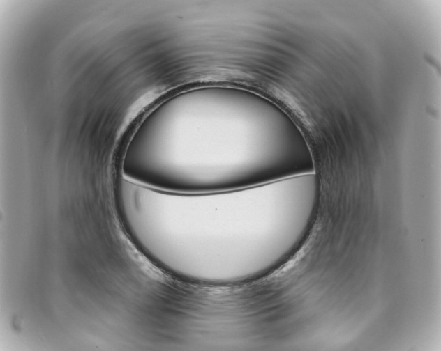 X0000094451122200711081041