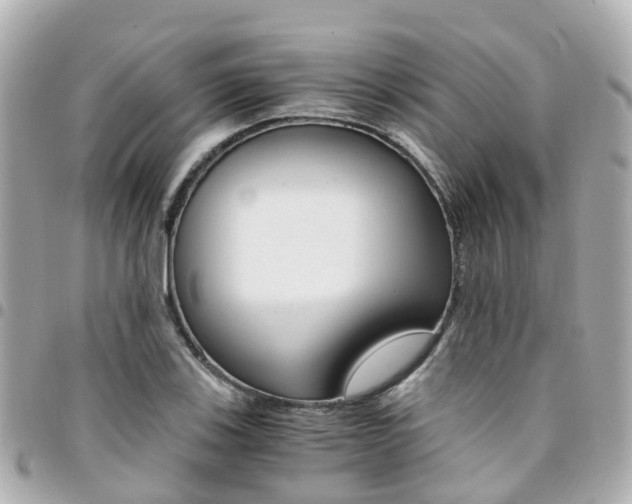 X0000094451123200711081041