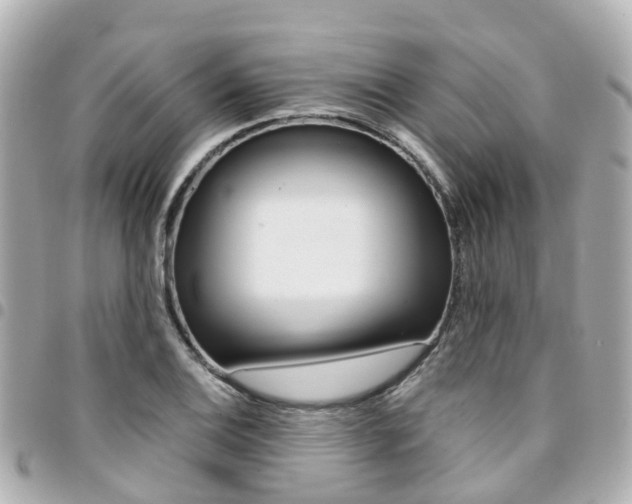 X0000094451124200711081041