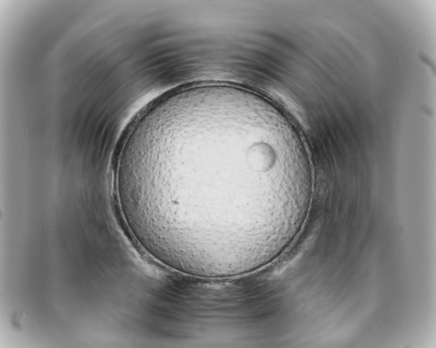X0000094451125200711081041