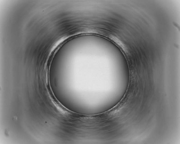 X0000094451127200711081041