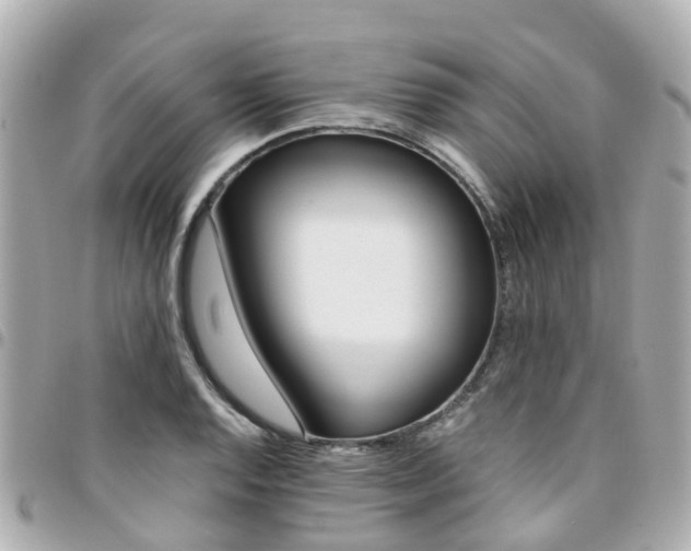 X0000094451128200711081041