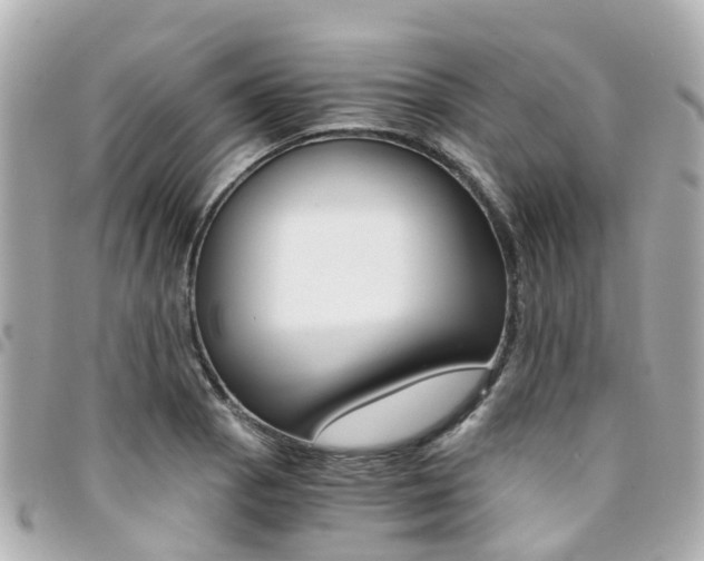 X0000094451129200711081041