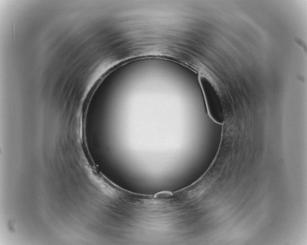 X0000094451132200711081041