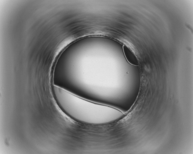 X0000094451135200711081041