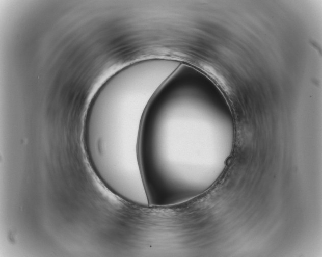 X0000094451136200711081041